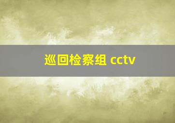 巡回检察组 cctv